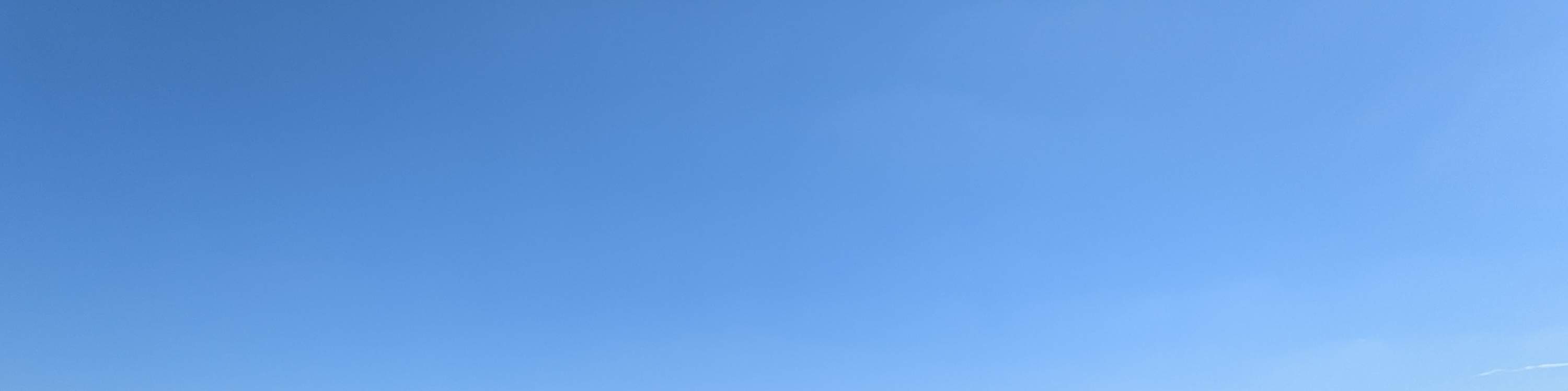 地元ファンと行く東京競馬ツアー（チケット付き）