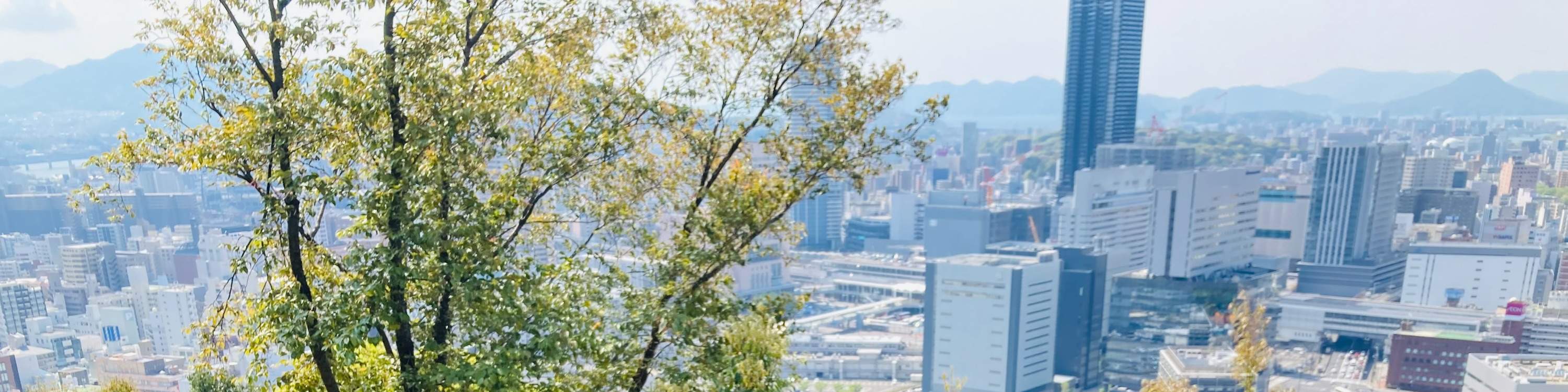 Nikmati upacara minum teh udara terbuka dengan teh hijau & manisan sebagai acara kemuncak lawatan kami