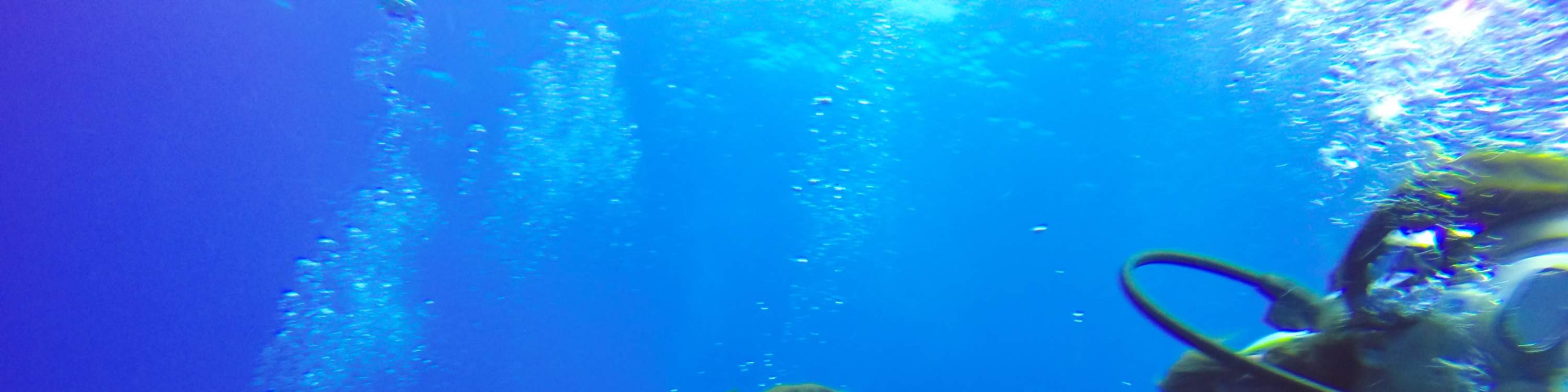 Tour Lặn Bình Khí kèm Bữa Trưa ở Alanya