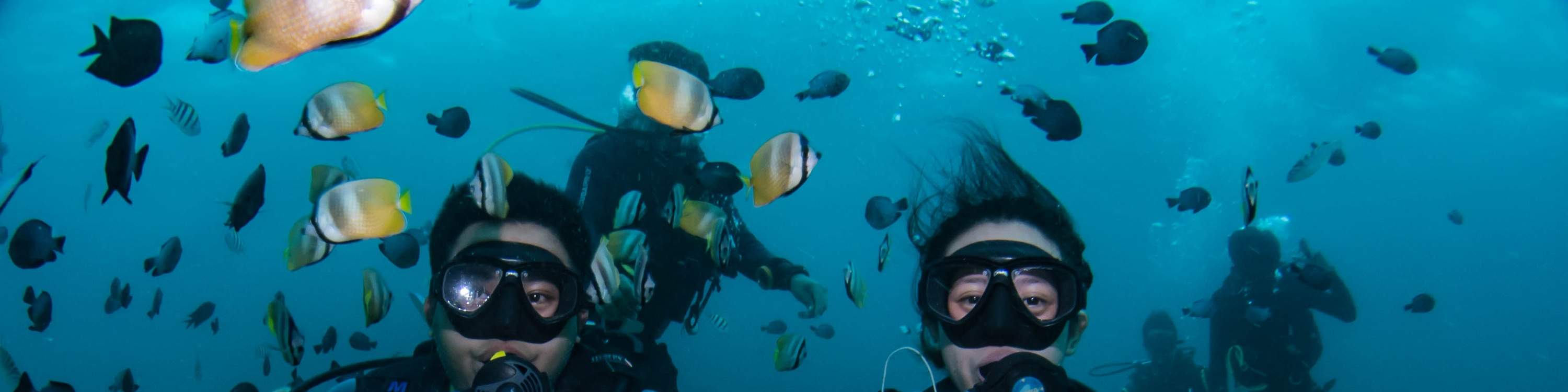 seorang lelaki memegang papan tanda 