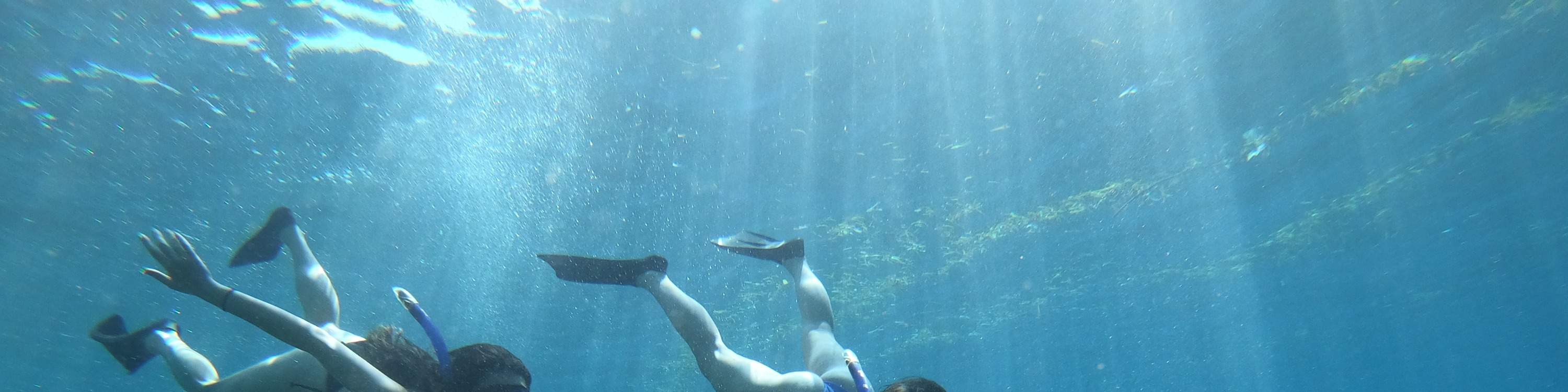 Tempat Snorkeling Lembongan Activity