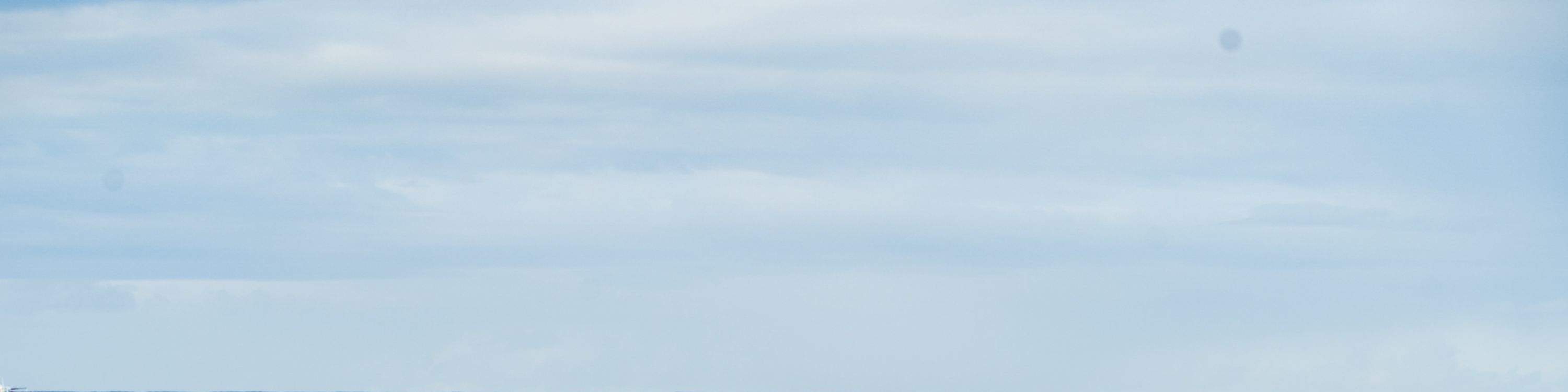 La cola de la ballena se eleva con gracia antes de desaparecer en el profundo mar azul.