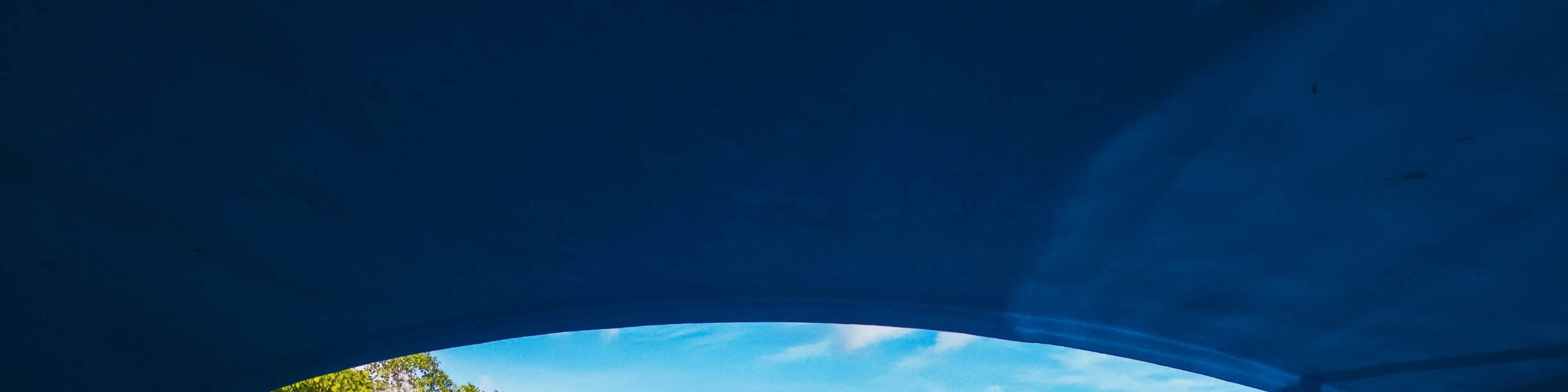 Остров Черепах, Лодка со Стеклянным Дном, Круиз по Мангровым зарослям от JTB Indonesia