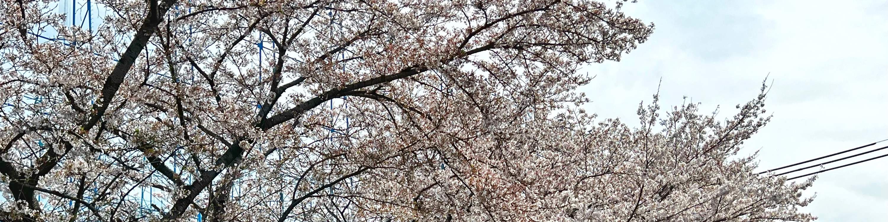 Subaru GC8（动漫原版）