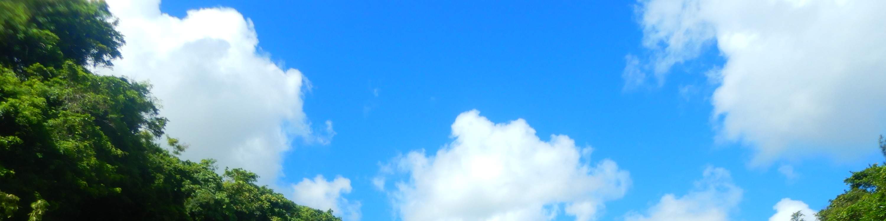 比謝川紅樹林SUP體驗