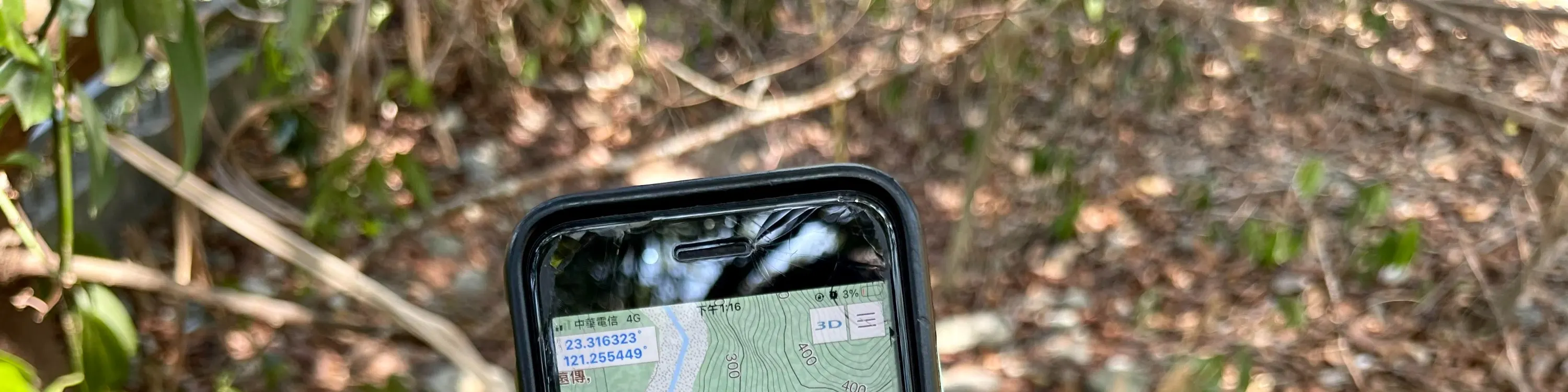 黑熊森林踏查｜台湾黑熊栖地生态解说一日游