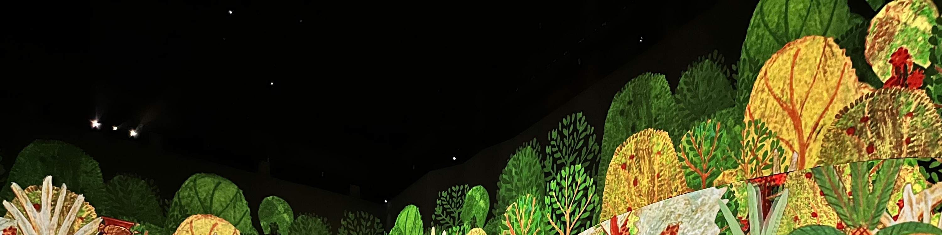 Billet pour le Théâtre des Lumières à Séoul