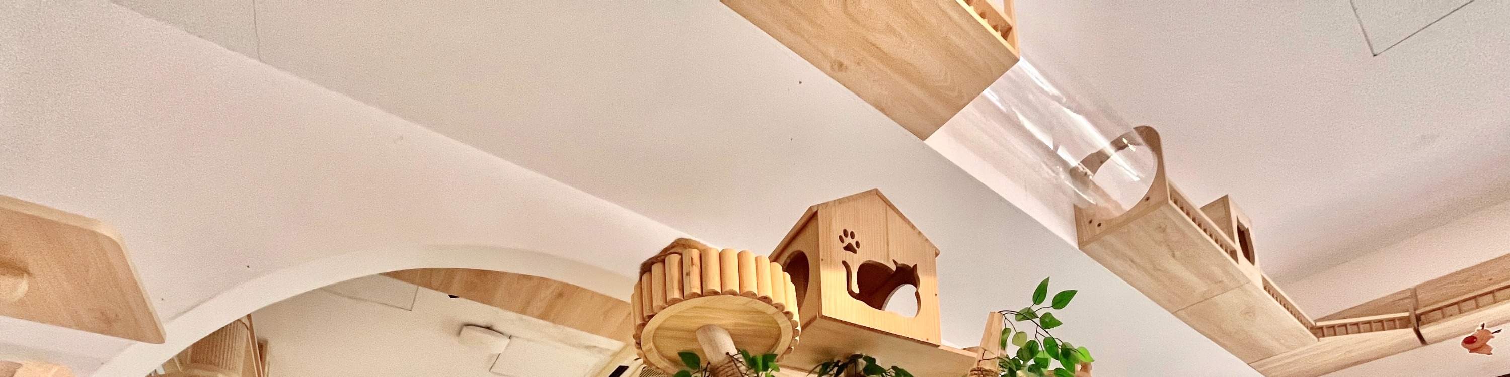 HOME by tales of paws 貓咪咖啡廳