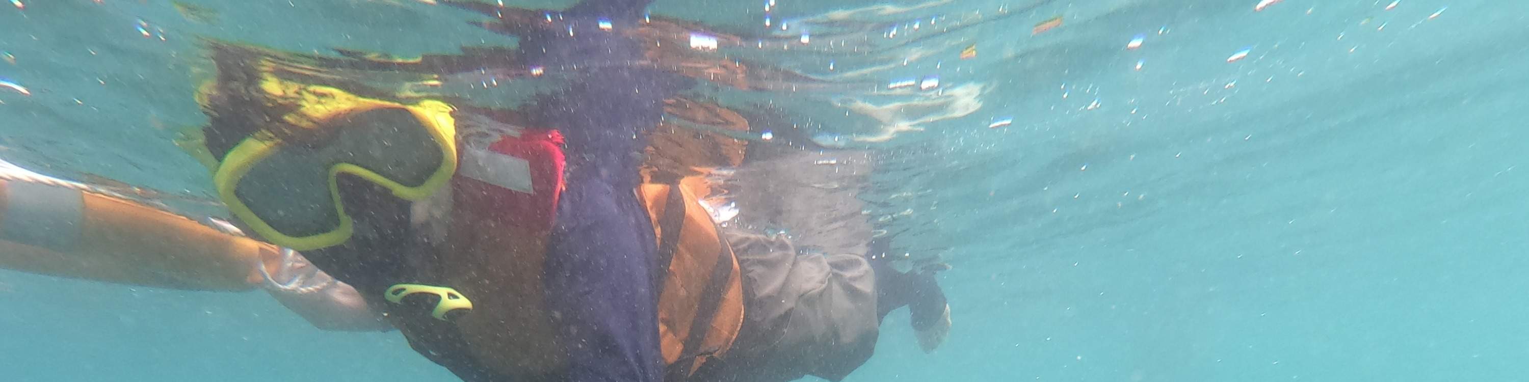 龜島 & 玻璃底船 & 紅樹林巡航之旅（JTB Indonesia提供）