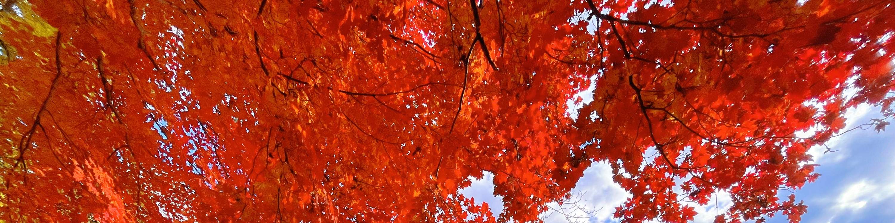 Билет на остров Нами