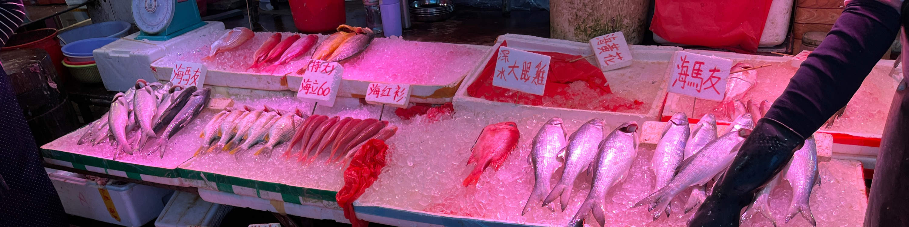 From Sea to Table Aberdeen Wholesale Fish Fresh Seafood Market