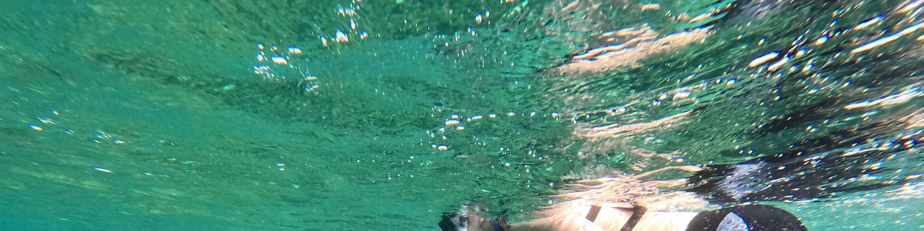 Peribadi. Pengalaman Snorkeling atau Freediving di Guam