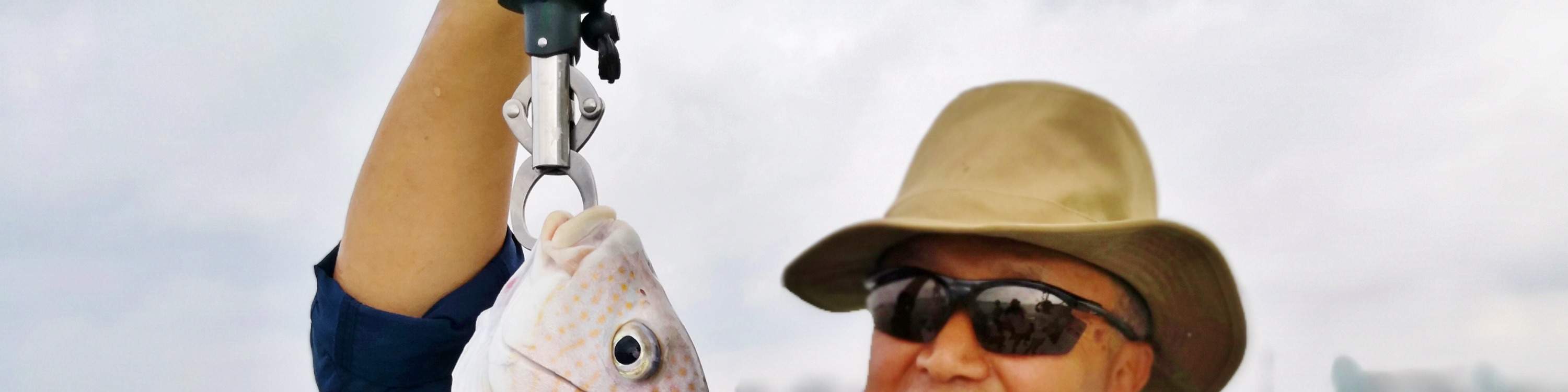 Cogli l'opportunità di pescare pesce fresco