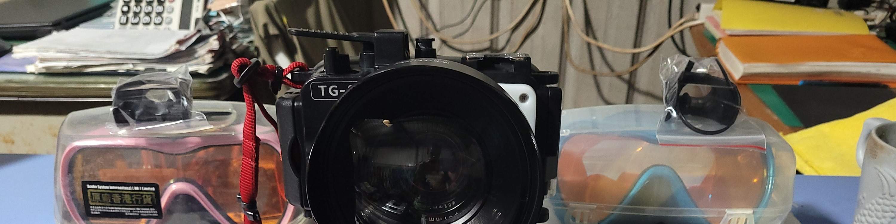 샤오류치｜스노클링 체험 & 바다거북과 함께 수영｜6인 동반 시 1인 무료