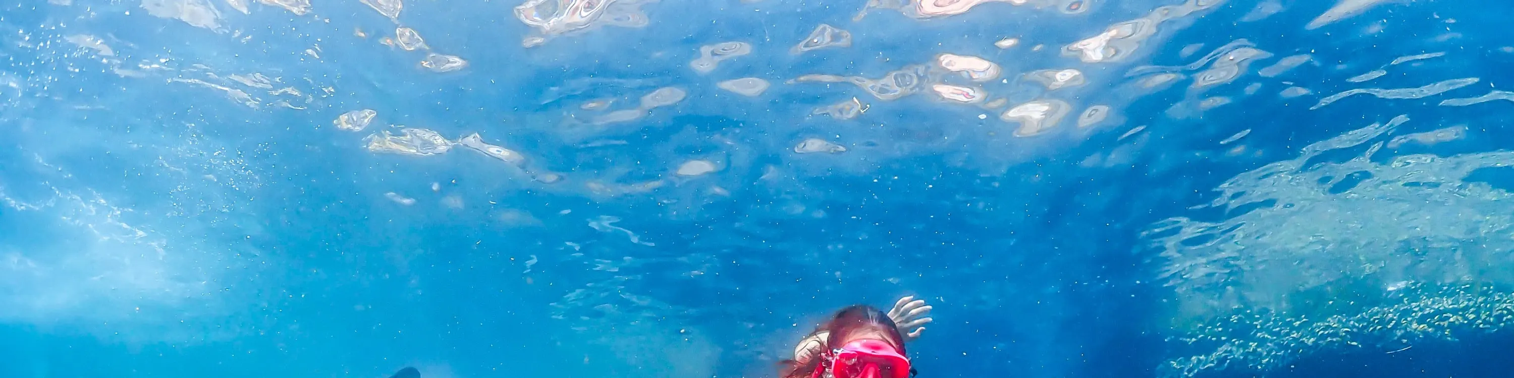 尼莫岛体验无人机照片和午餐