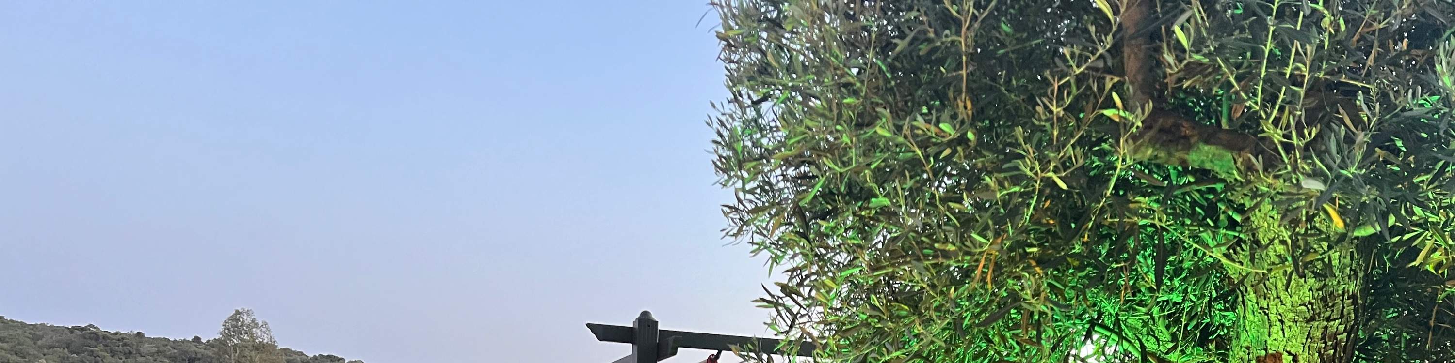 Афины, Греция: Мастер-класс по изготовлению кожаных сандалий ручной работы