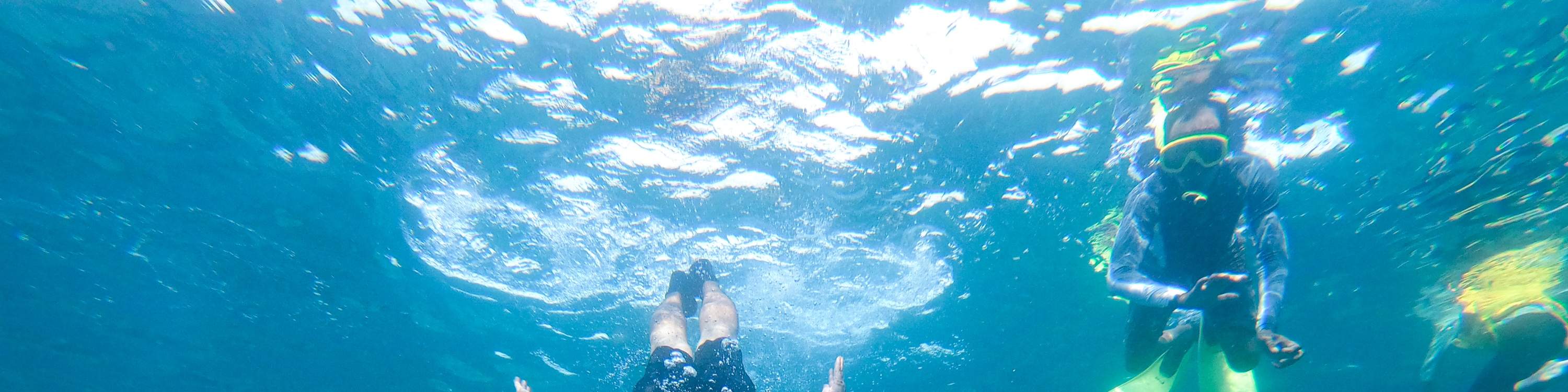 龜島 & 玻璃底船 & 紅樹林巡航之旅（JTB Indonesia提供）