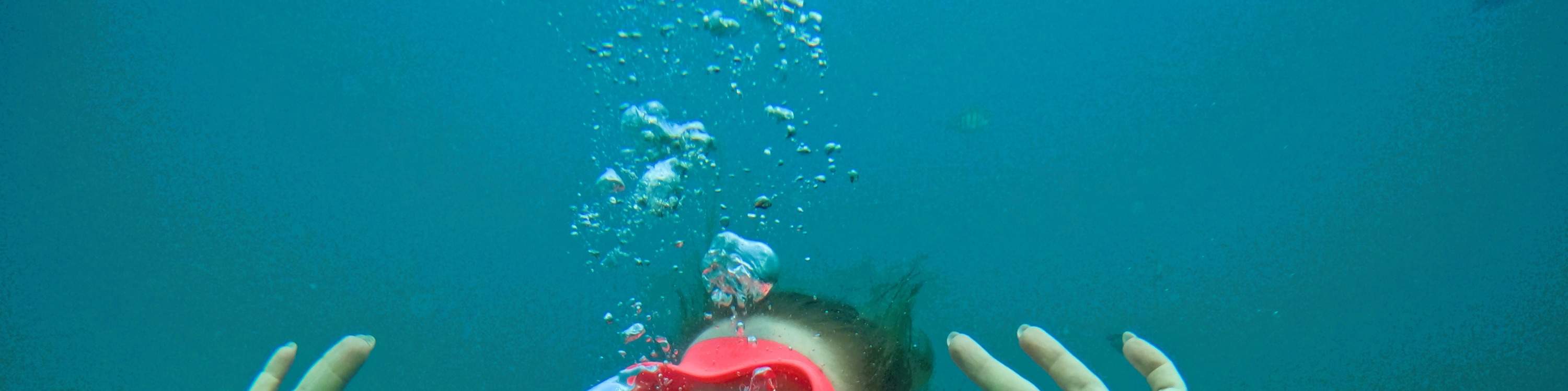 From Dubai: Scuba Dive & Snorkeling with BBQ lunch