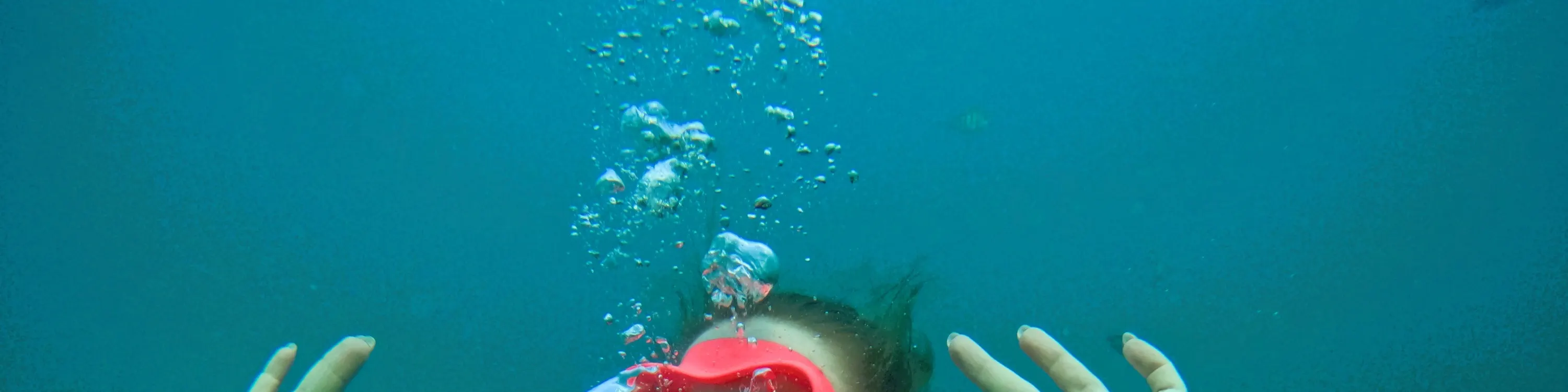 从迪拜出发：水肺潜水和浮潜，含烧烤午餐