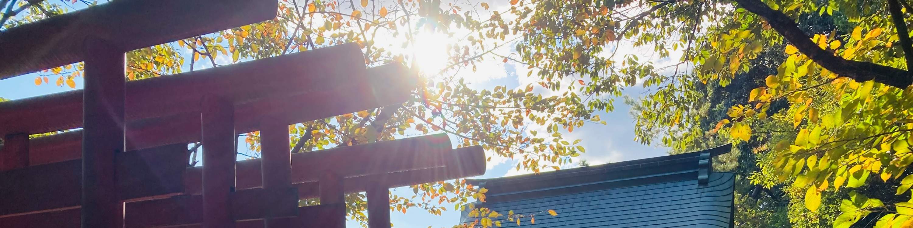 廣島春季早間徒步之旅 & 露天茶道