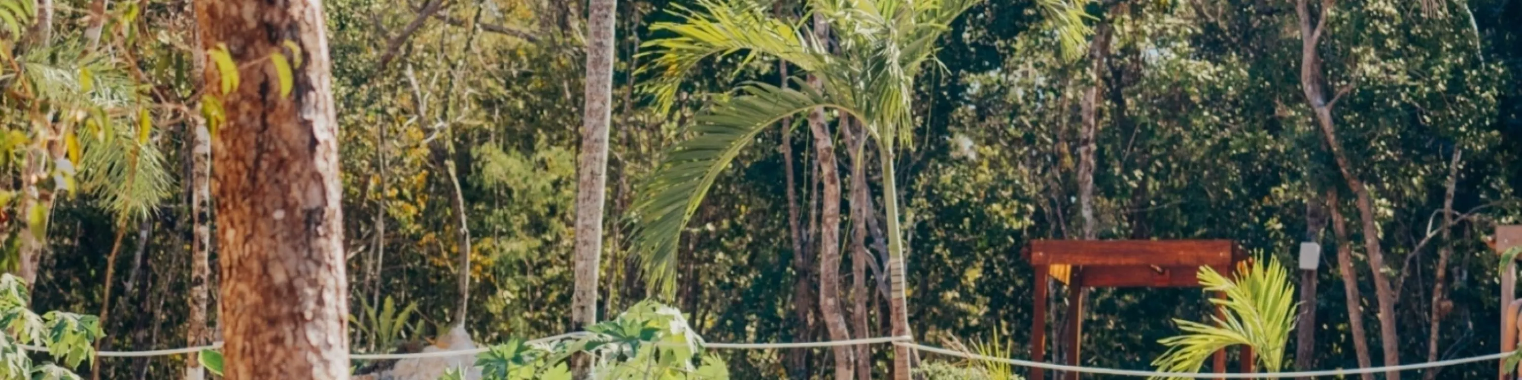 在清澈见底的海水中畅游，周围环绕着茂密的丛林和天然石灰岩地貌