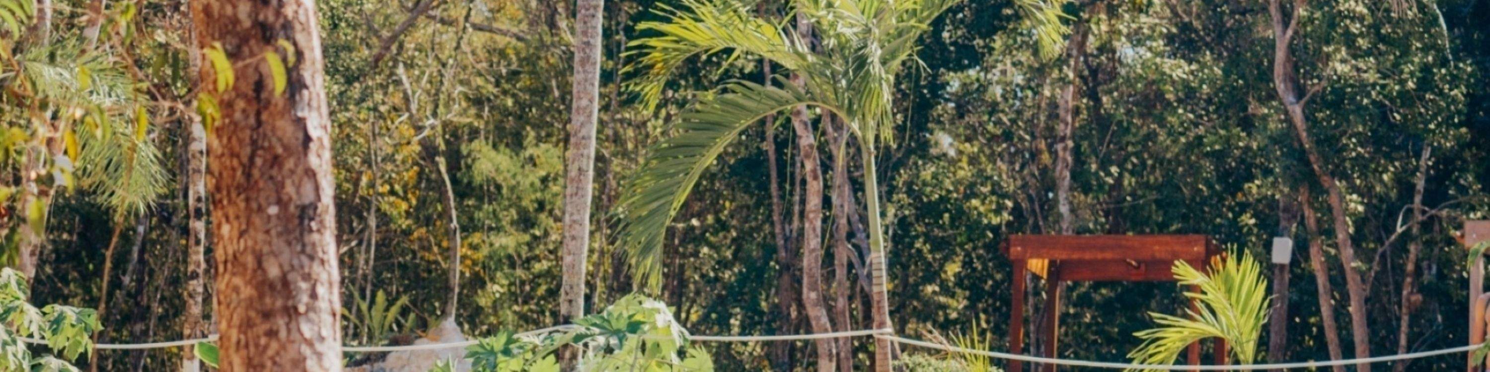 울창한 정글과 석회암 지형으로 둘러싸인 투명한 바닷물에서 수영을 즐겨보세요.