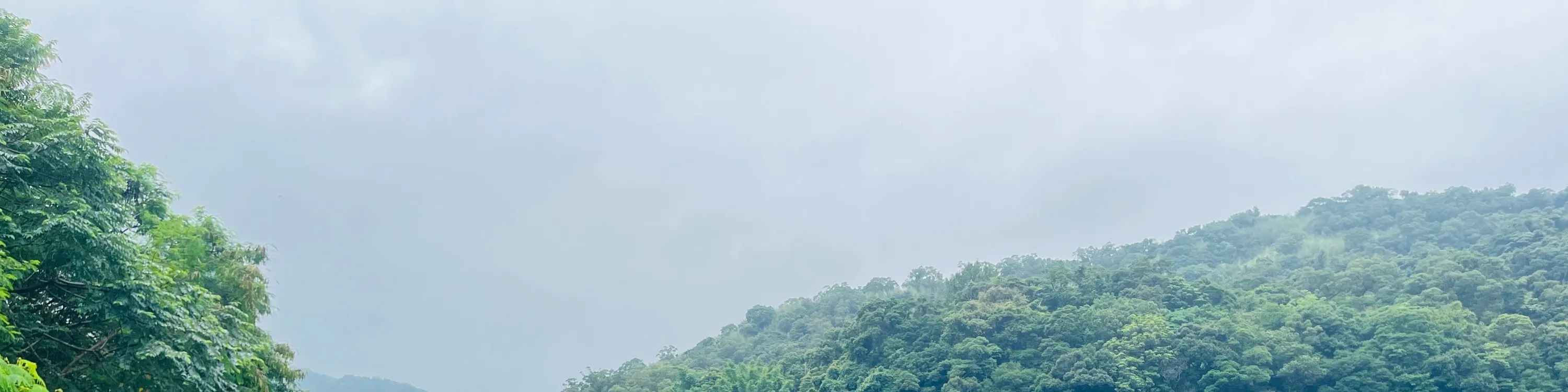 新北: 蒙蒙谷 SUP 立桨体验