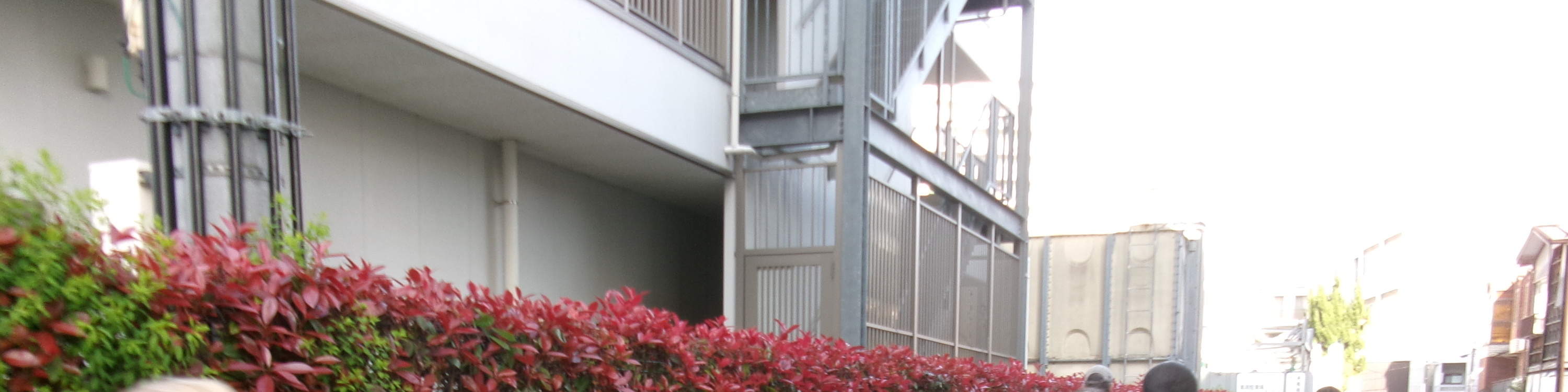 기모노/해석으로 즐기는 오사카성 서예 체험