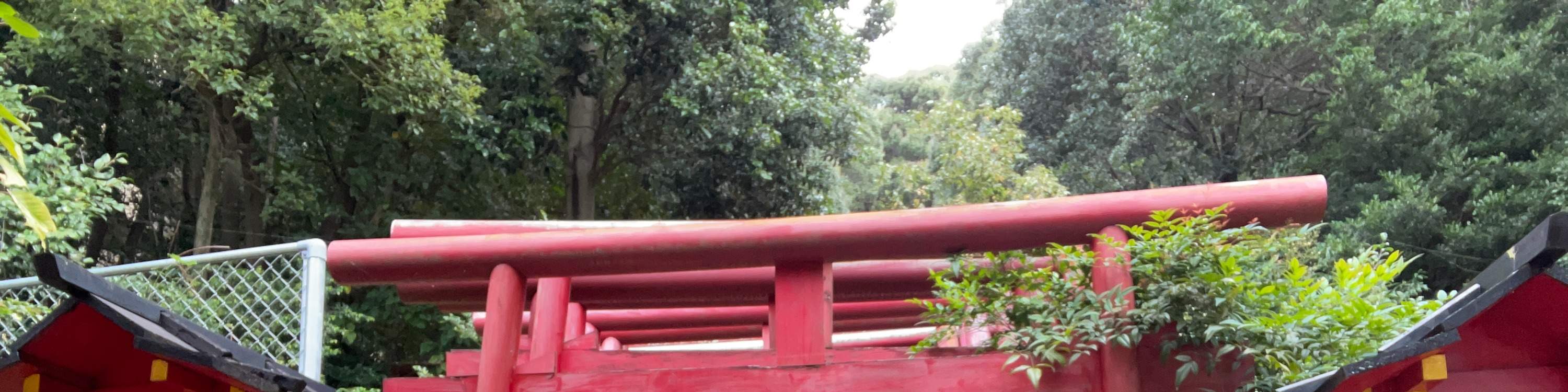 廣島春季早間徒步之旅 & 露天茶道