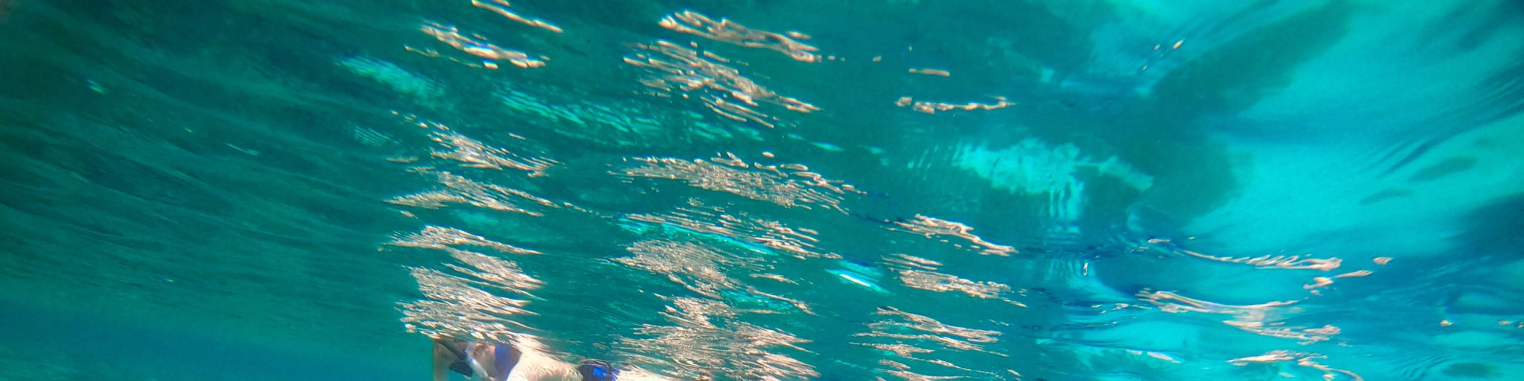 Частный опыт сноркелинга или фридайвинга на Гуаме