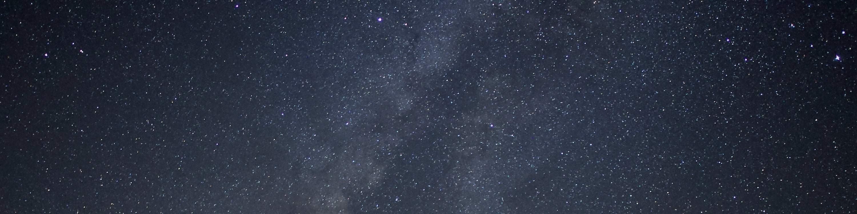 Tour notturno nella giungla e cielo stellato dell'Isola di Iriomote (Okinawa)