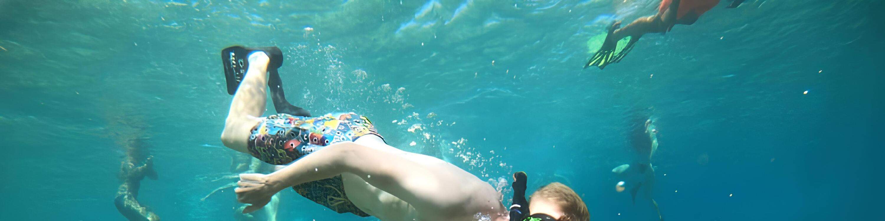 ดำน้ำตื้นกับเต่า