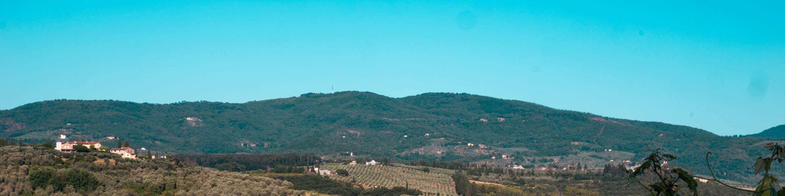 托斯卡尼橄欖油麵包烹飪課程＆品酒體驗