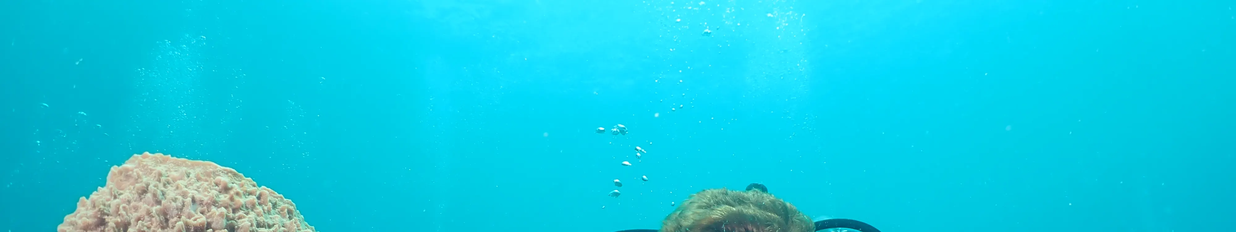 探索水肺潜水