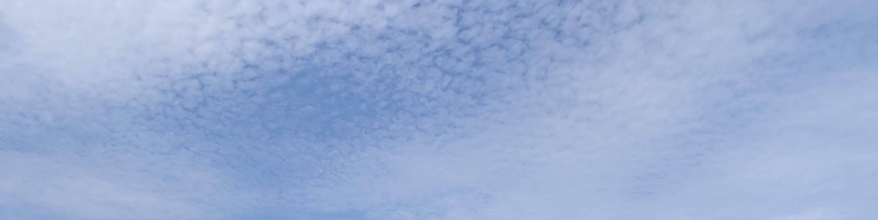 Hsinchu Wufeng: Sentiero forestale di Luoshan - Pedalata lenta in bicicletta