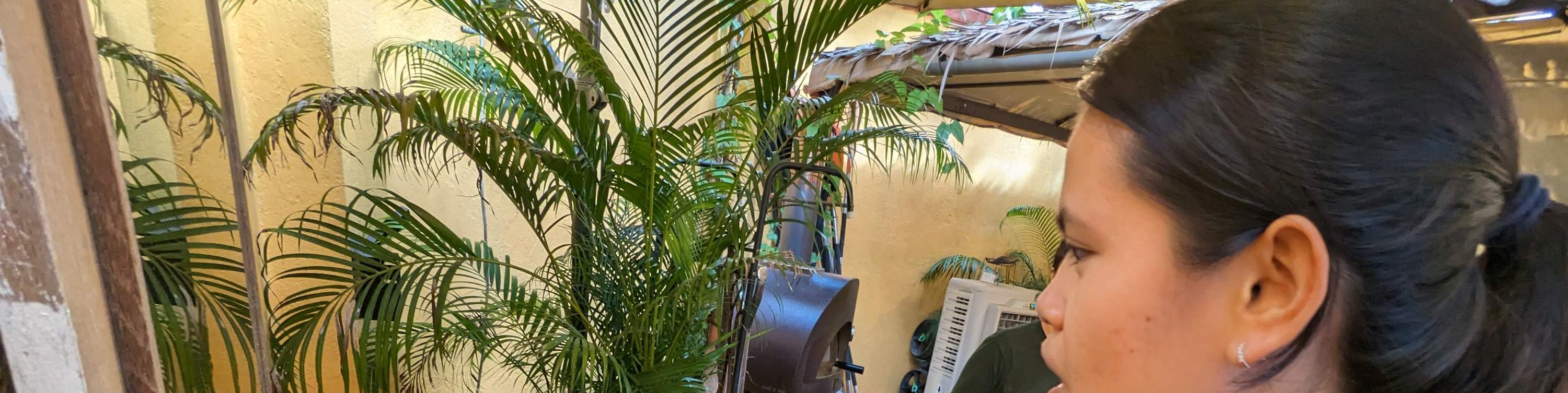 Taller de ensaladas y elaboración de caña de azúcar en The Sundowner