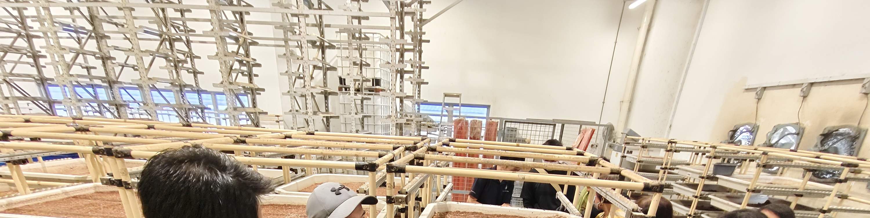 Tour Tham Quan Trang Trại Ruồi Lính Đen Lớn Nhất Singapore