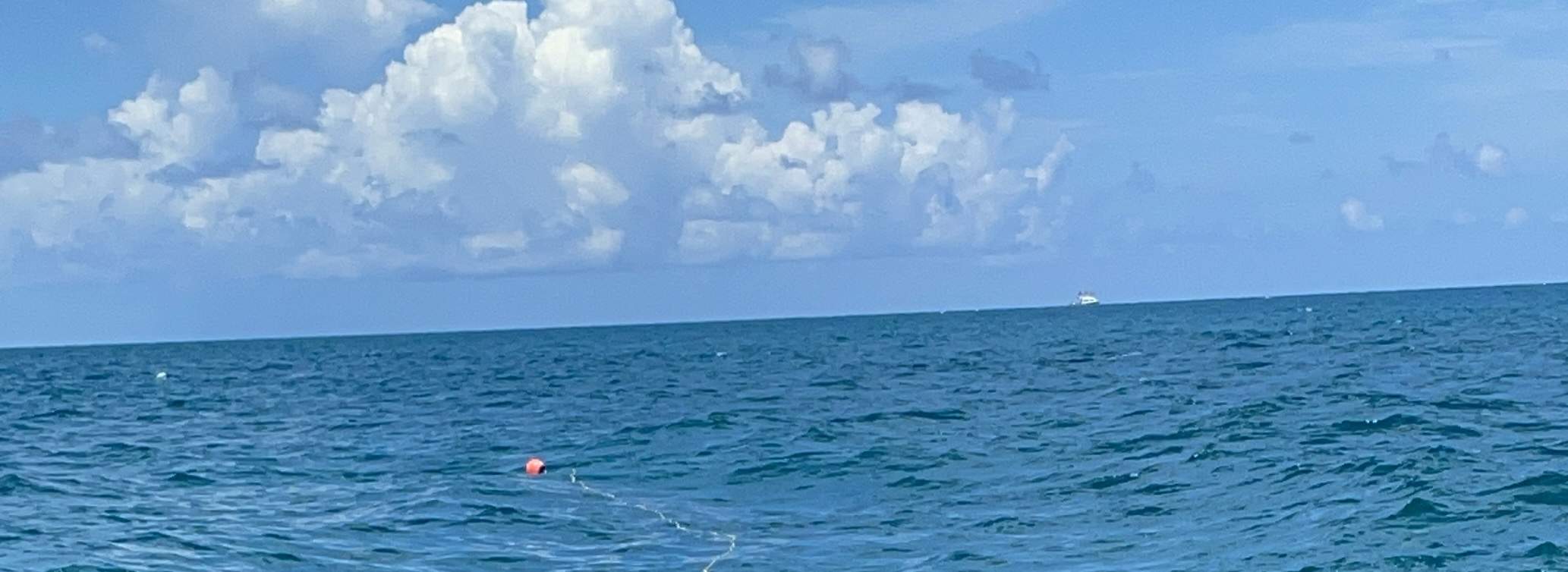 Half Day Snorkelling Trip in Florida with PADI Dive Boat Klook