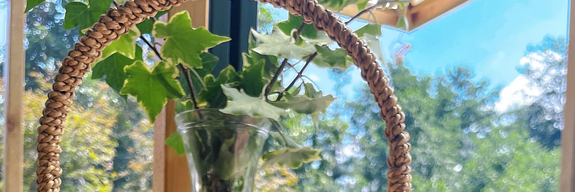 苍山自然影像博物馆