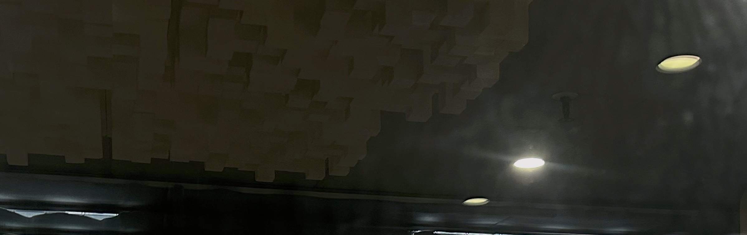 L'enregistrement aura lieu dans un studio professionnel.