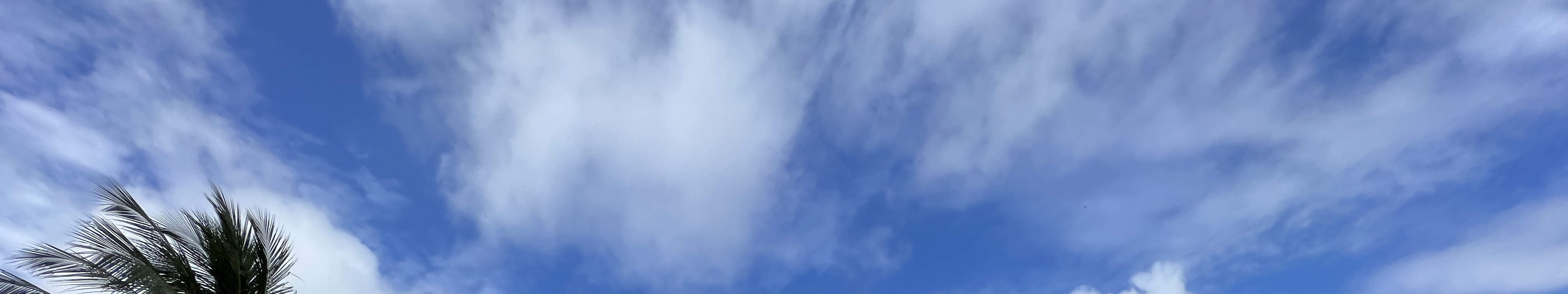 Talasi Product Journey im Talasi Estate Gadungan Bali