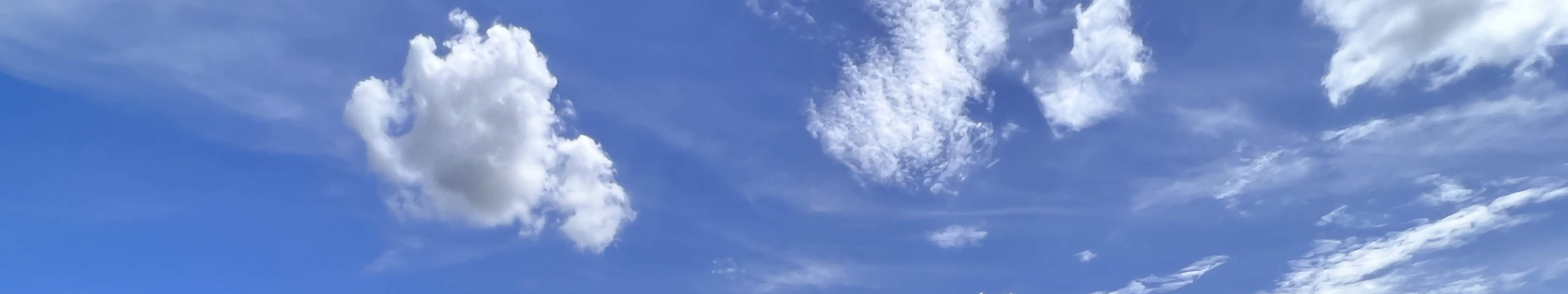 農樂營內設有800呎大型玩樂水池