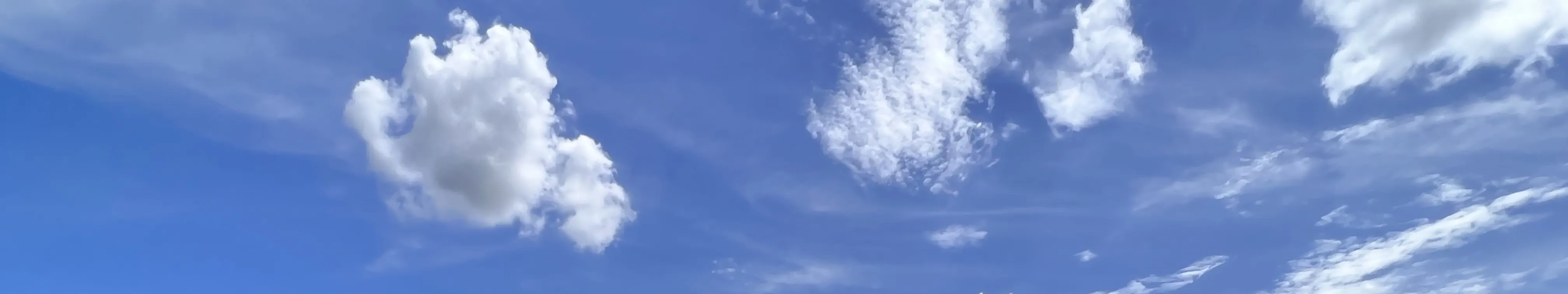 農樂營內設有800呎大型玩樂水池