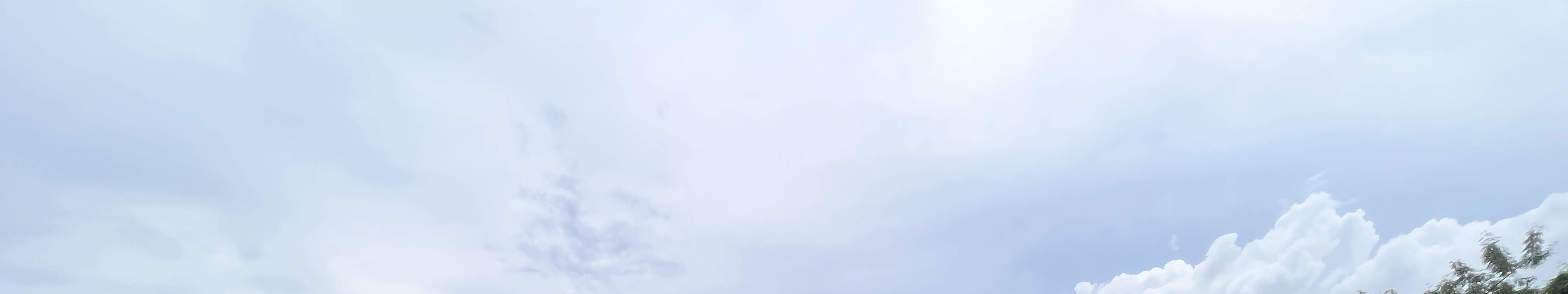 Yau Tam Mei Holiday Camp Summer Festival