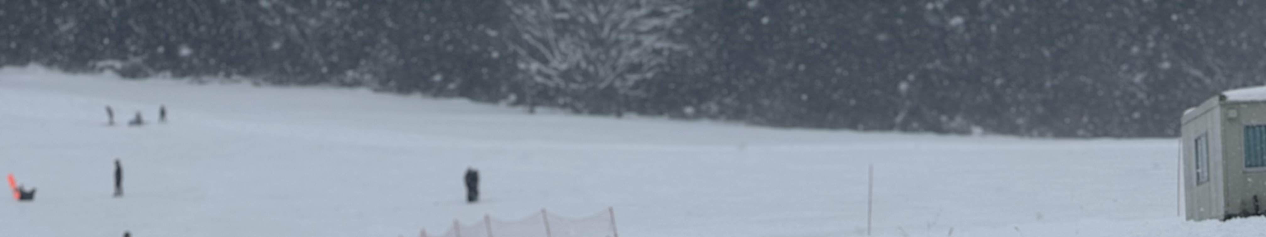 Nagano | Kursus Pelatih Ski Pribadi 4 Jam di Lapangan Ski Hakuba Cortina