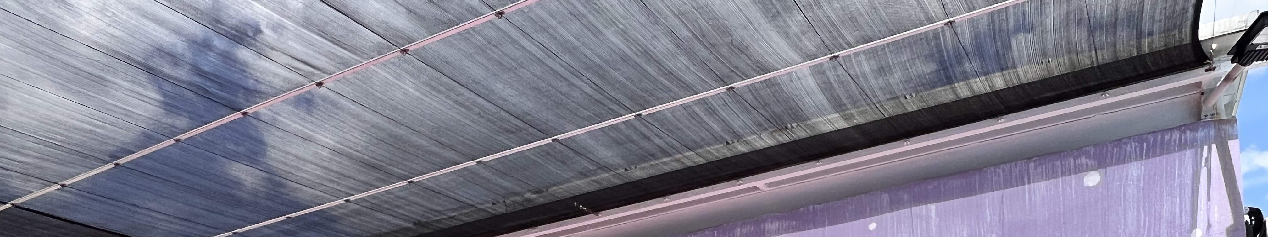 Yau Tam Mei Holiday Camp Summer Festival