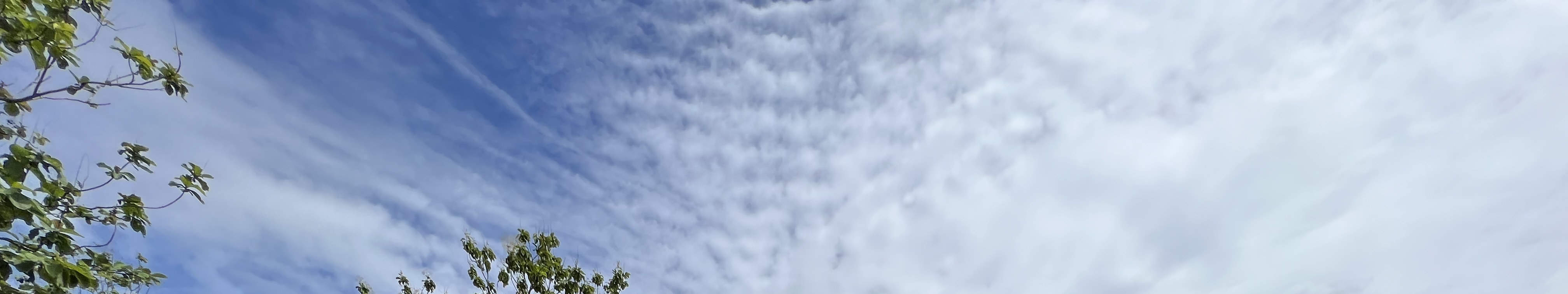 峇里島塔拉西莊園產品之旅