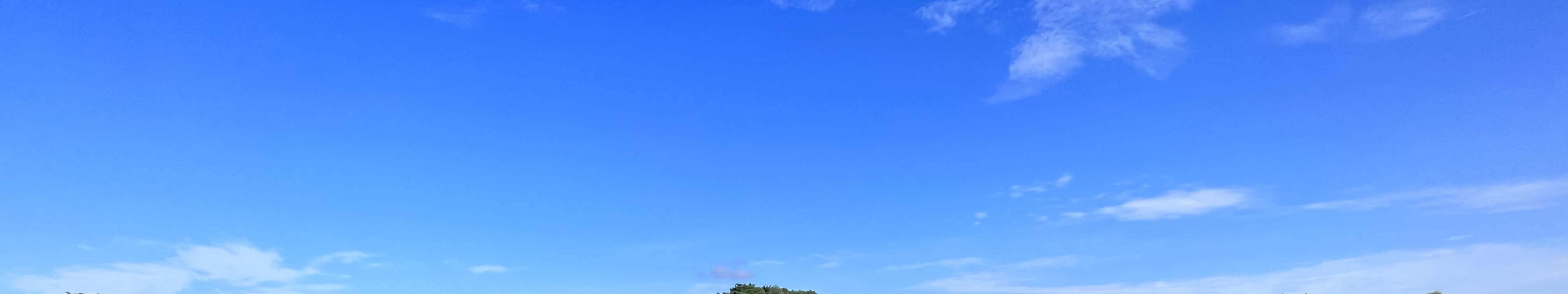 新加坡游艇巡游餐饮 yachtcruisesg