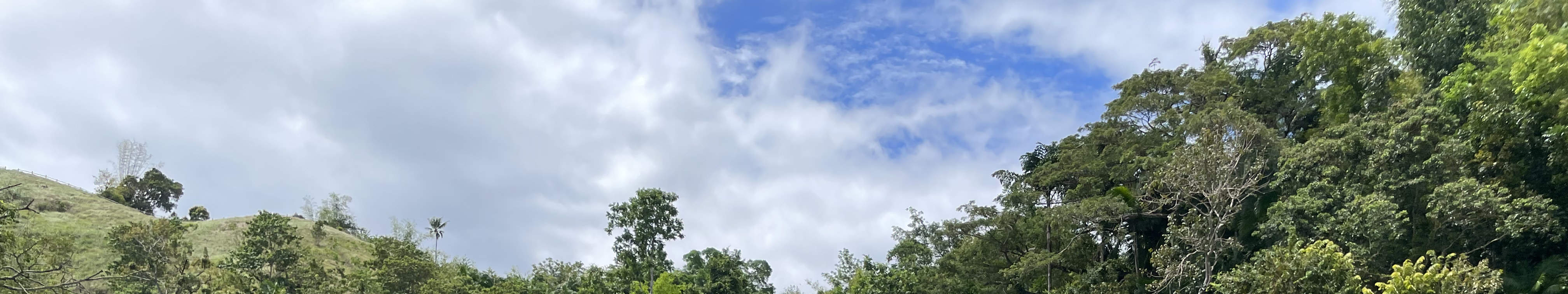 ロボック川 スタンドアップパドルアドベンチャー（ボホール）