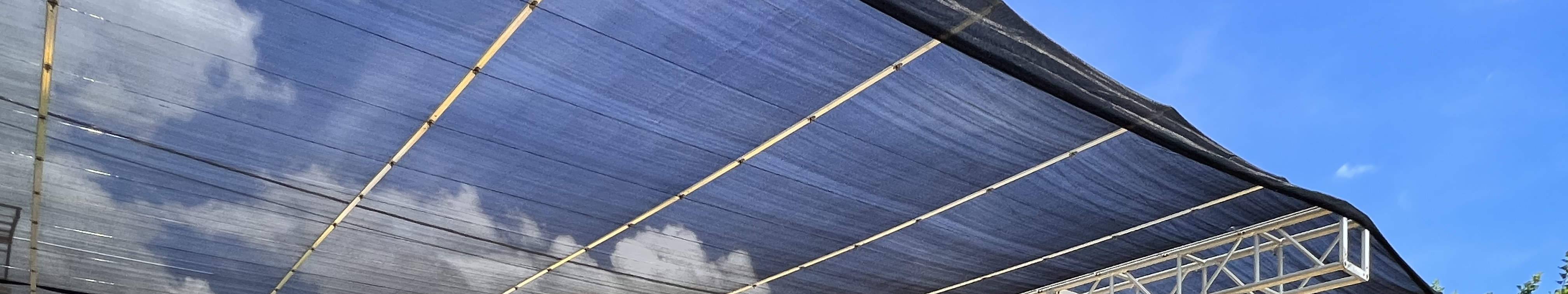 農樂營 - 主題派對房間包房｜燒烤套餐｜元朗